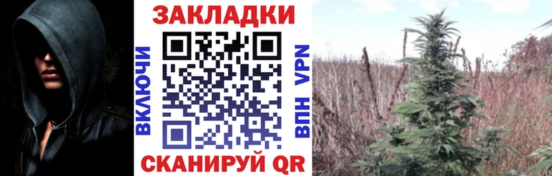 Наркошоп купить АМФ  Галлюциногенные грибы  МАРИХУАНА  Вейп ТГК  Меф мяу мяу  КОКАИН  Полярный