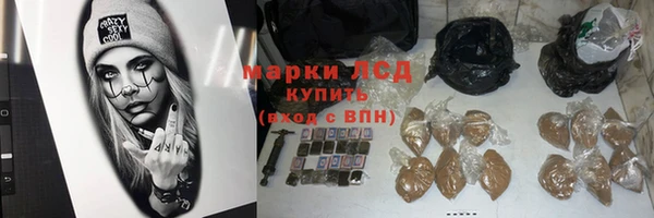 мяу мяу мука Горняк