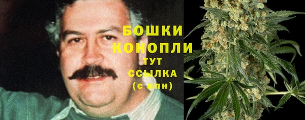 мяу мяу мука Горняк