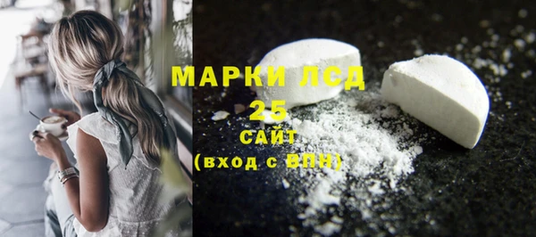 мяу мяу мука Горняк