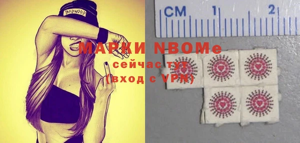 стаф Гусь-Хрустальный