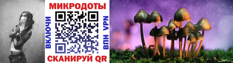 Купить закладки  Полярный  Псилоцибиновые грибы Cubensis 